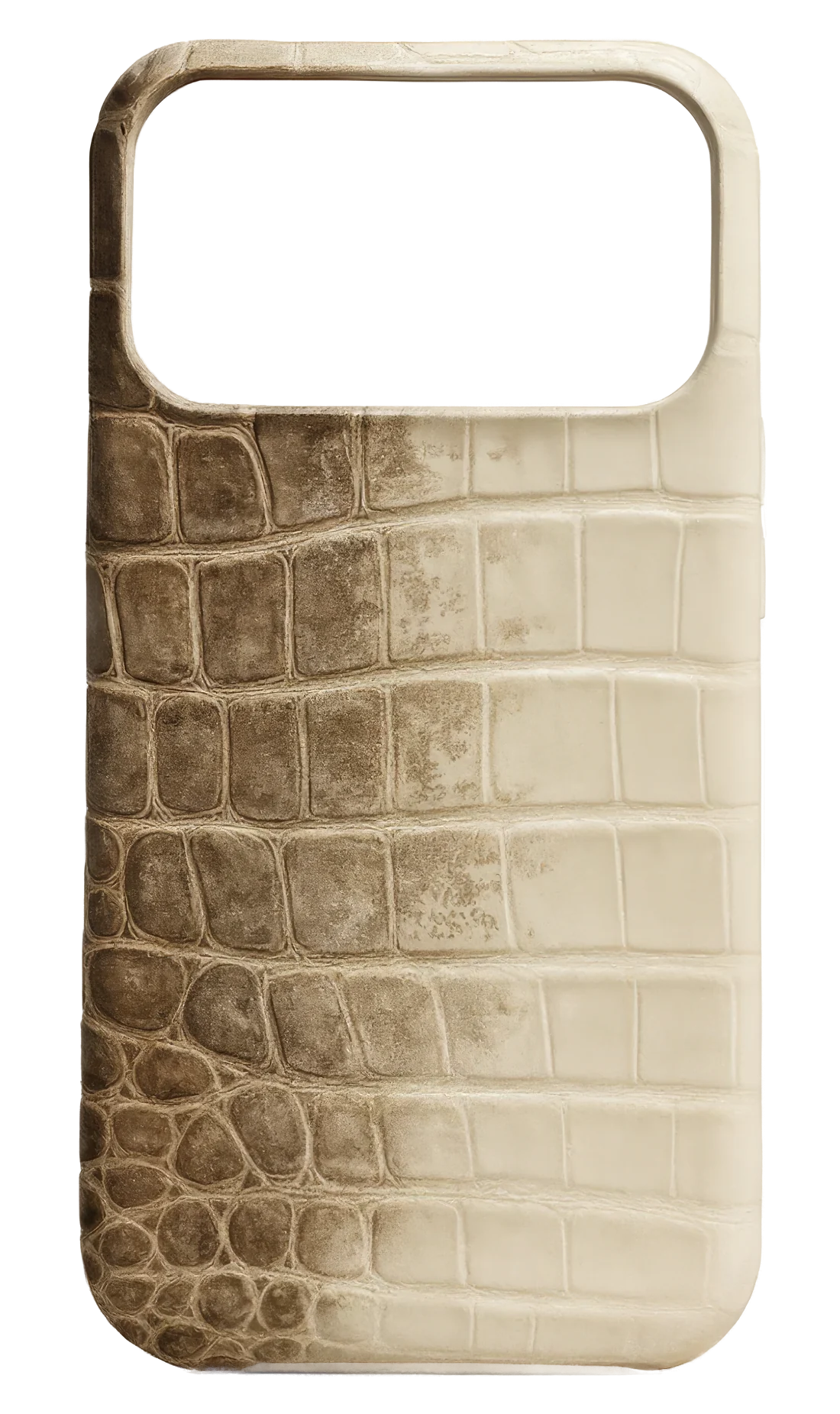 The Himalayan crocodile case
