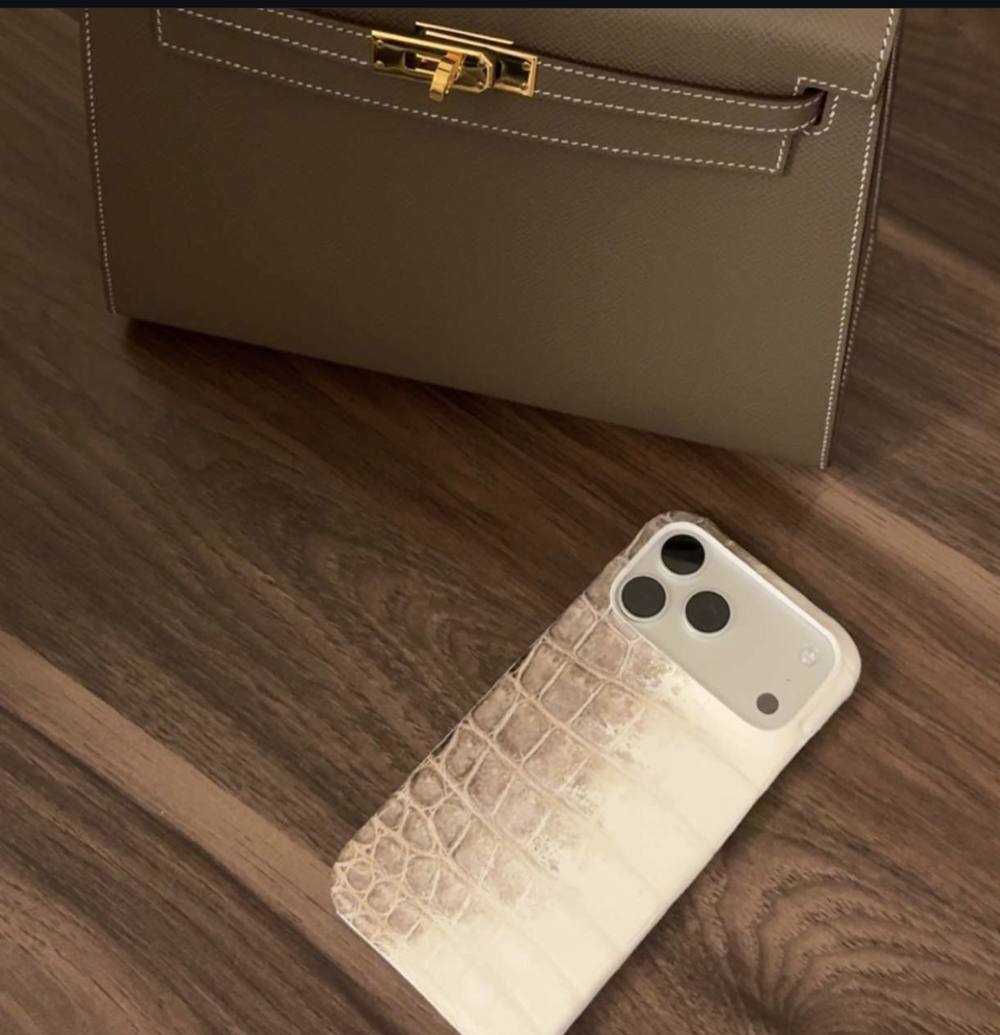Himalayan crocodile case resting beside a taupe leather handbag